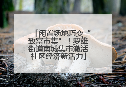 闲置场地巧变“致富市集”！罗雄街道南城集市激活社区经济新活力