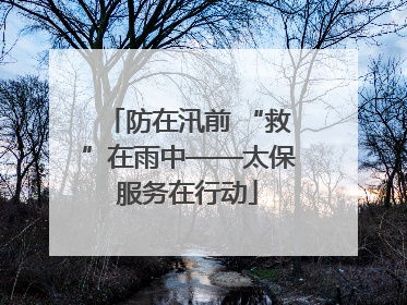 防在汛前 “救”在雨中——太保服务在行动