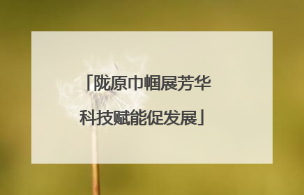 陇原巾帼展芳华 科技赋能促发展