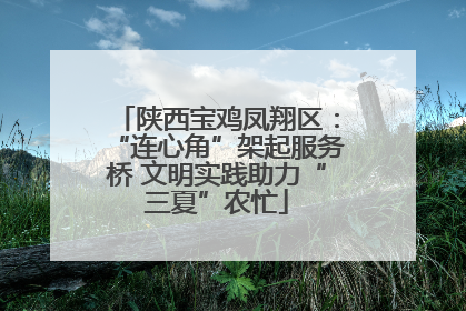 陕西宝鸡凤翔区：“连心角”架起服务桥 文明实践助力“三夏”农忙