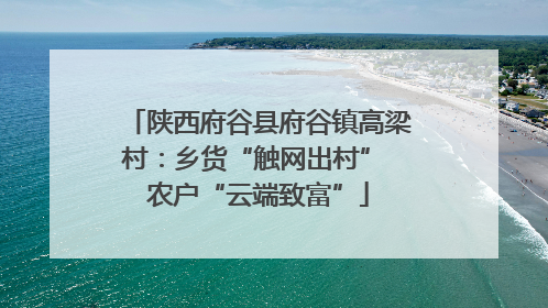 陕西府谷县府谷镇高梁村：乡货“触网出村” 农户“云端致富”