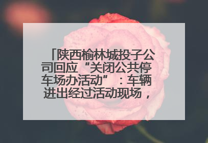 陕西榆林城投子公司回应“关闭公共停车场办活动”：车辆进出经过活动现场，为安全临时关闭