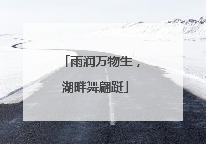 雨润万物生，湖畔舞翩跹