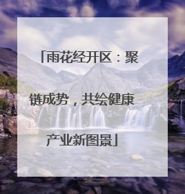 雨花经开区：聚链成势，共绘健康产业新图景