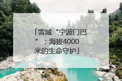 雪域“宁波门巴”：海拔4000米的生命守护