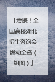 震撼！全国高校湖北招生咨询会燃动全省（组图）