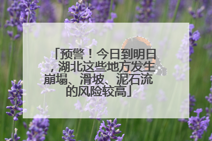 预警！今日到明日，湖北这些地方发生崩塌、滑坡、泥石流的风险较高