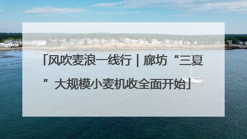 风吹麦浪一线行｜廊坊“三夏”大规模小麦机收全面开始