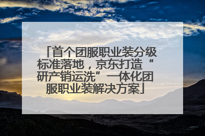首个团服职业装分级标准落地，京东打造“研产销运洗”一体化团服职业装解决方案