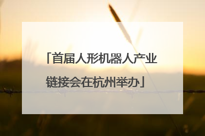 首届人形机器人产业链接会在杭州举办