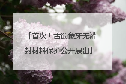 首次！古蜀象牙无灌封材料保护公开展出