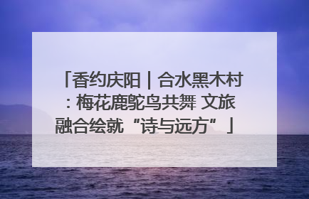 香约庆阳｜合水黑木村：梅花鹿鸵鸟共舞 文旅融合绘就“诗与远方”