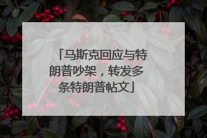 马斯克回应与特朗普吵架，转发多条特朗普帖文