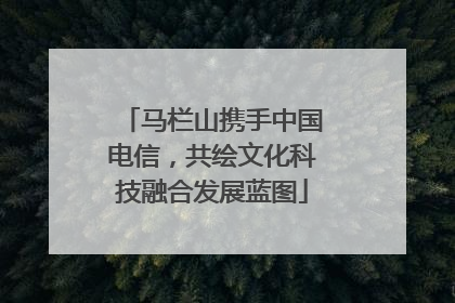 马栏山携手中国电信，共绘文化科技融合发展蓝图