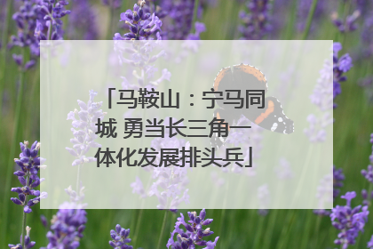 马鞍山：宁马同城 勇当长三角一体化发展排头兵