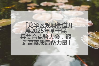 龙华区观澜街道开展2025年基干民兵集合点验大会，锻造高素质后备力量