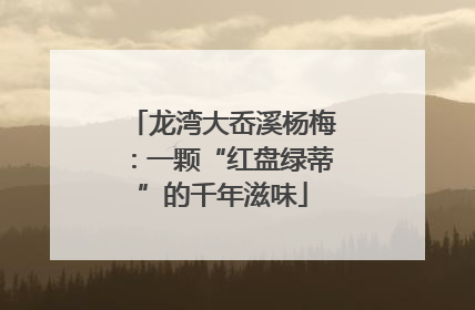 龙湾大岙溪杨梅：一颗“红盘绿蒂”的千年滋味