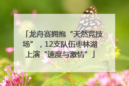龙舟赛拥抱“天然竞技场”，12支队伍枣林湖上演“速度与激情”