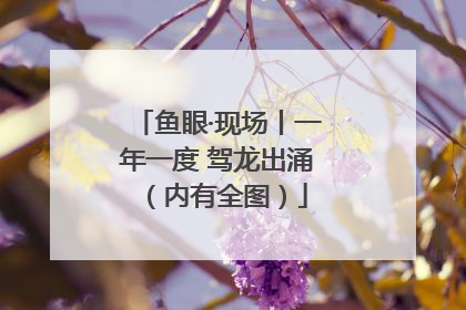 鱼眼·现场丨一年一度 驾龙出涌（内有全图）