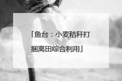 鱼台：小麦秸秆打捆离田综合利用