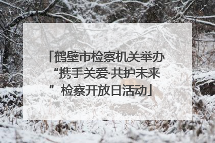 鹤壁市检察机关举办“携手关爱·共护未来”检察开放日活动