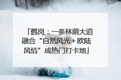 鹤岗：一条林荫大道融合“自然风光＋欧陆风情”成热门打卡地