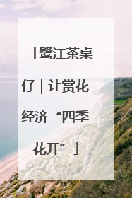 鹭江茶桌仔｜让赏花经济“四季花开”