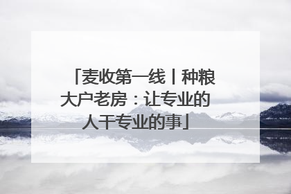 麦收第一线丨种粮大户老房：让专业的人干专业的事