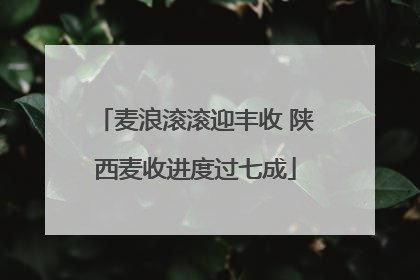 麦浪滚滚迎丰收 陕西麦收进度过七成