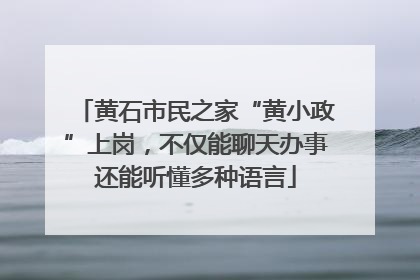 黄石市民之家“黄小政”上岗，不仅能聊天办事还能听懂多种语言