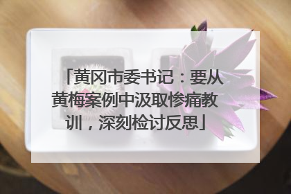 黄冈市委书记：要从黄梅案例中汲取惨痛教训，深刻检讨反思