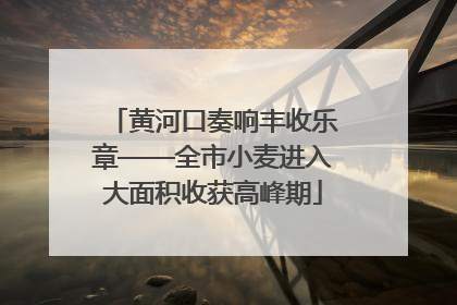 黄河口奏响丰收乐章——全市小麦进入大面积收获高峰期
