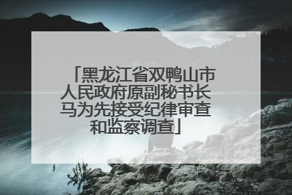 黑龙江省双鸭山市人民政府原副秘书长马为先接受纪律审查和监察调查