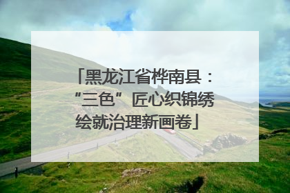 黑龙江省桦南县：“三色”匠心织锦绣 绘就治理新画卷