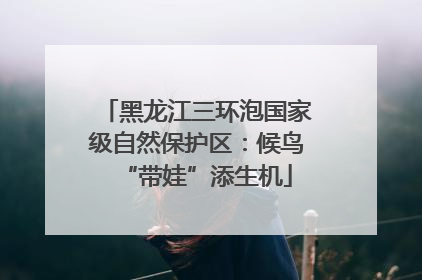 黑龙江三环泡国家级自然保护区：候鸟“带娃”添生机