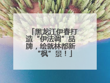黑龙江伊春打造“伊法调”品牌，绘就林都新“枫”景！