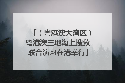 （粤港澳大湾区）粤港澳三地海上搜救联合演习在港举行