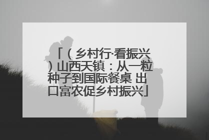 （乡村行·看振兴）山西天镇：从一粒种子到国际餐桌 出口富农促乡村振兴