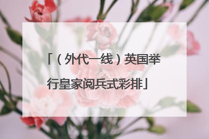 （外代一线）英国举行皇家阅兵式彩排