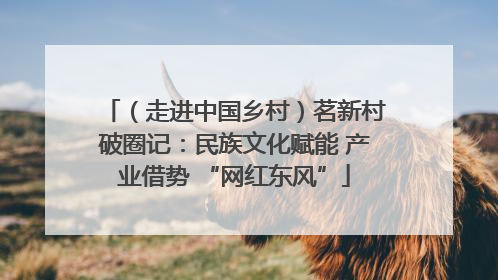 （走进中国乡村）茗新村破圈记：民族文化赋能 产业借势 “网红东风”