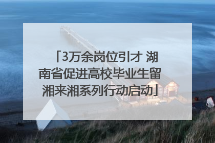 3万余岗位引才 湖南省促进高校毕业生留湘来湘系列行动启动