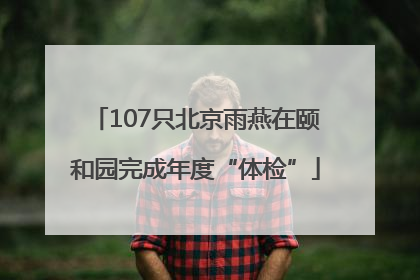 107只北京雨燕在颐和园完成年度“体检”