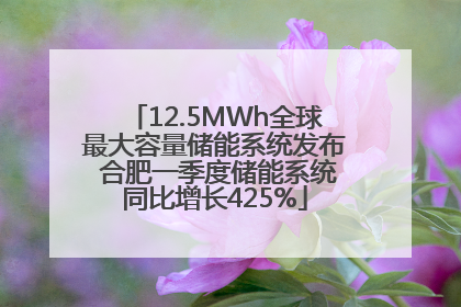 12.5MWh全球最大容量储能系统发布 合肥一季度储能系统同比增长425%