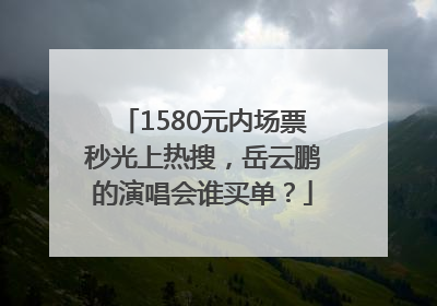 1580元内场票秒光上热搜，岳云鹏的演唱会谁买单？