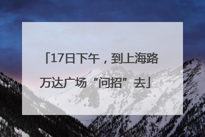 17日下午，到上海路万达广场“问招”去