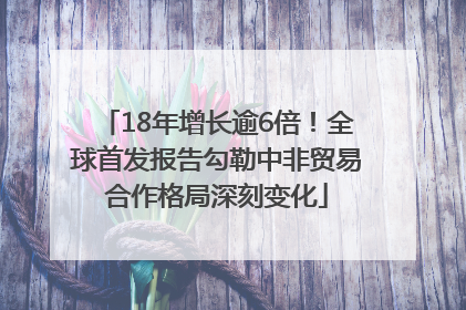 18年增长逾6倍！全球首发报告勾勒中非贸易合作格局深刻变化