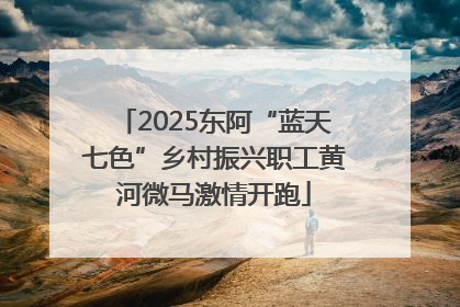 2025东阿“蓝天七色”乡村振兴职工黄河微马激情开跑