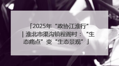 2025年“政协江淮行”｜淮北市渠沟镇程阁村：“生态痛点”变“生态景观”