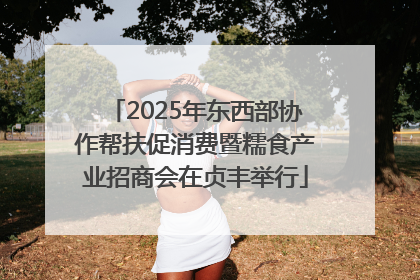 2025年东西部协作帮扶促消费暨糯食产业招商会在贞丰举行