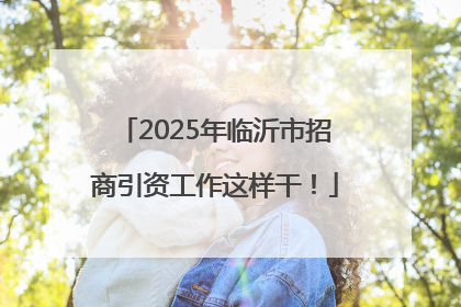 2025年临沂市招商引资工作这样干！